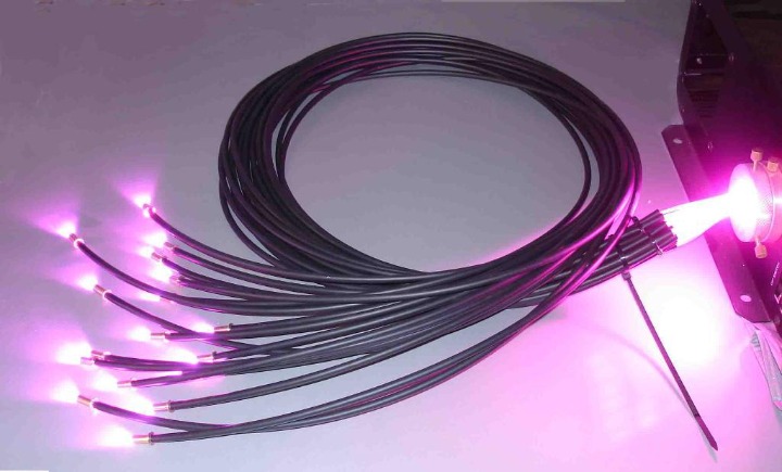 ���ֹ�������Щ��